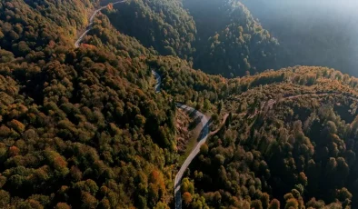 Çam Dağı’nda Sonbahar Renkleri